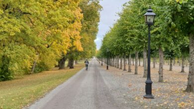 مسار للمشاة في منطقة ستوكهولم - صورة تعبيرية