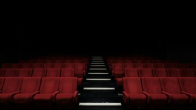 قاعة سينما، صورة توضيحية لمهرجان لوميير
