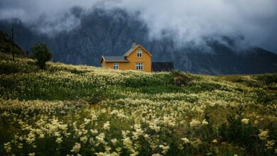 Norwegian rural cabin illustrative image; not the cabins affected by the fire